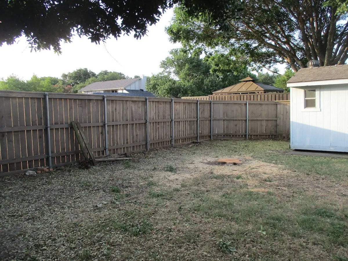Cleared yard after professional tree removal in Freeburn
